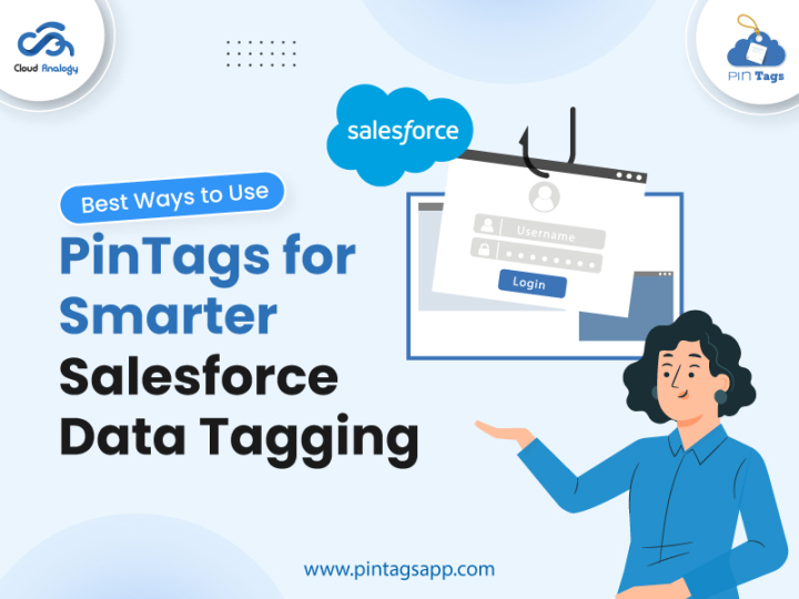 Read more about the article Best Ways to Use PinTags for Smarter Salesforce Data Tagging